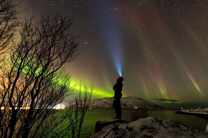 Private & Exclusive Northern Lights Tour with Professional guide - Private pickup: the easiest way to start a cold-night hunt