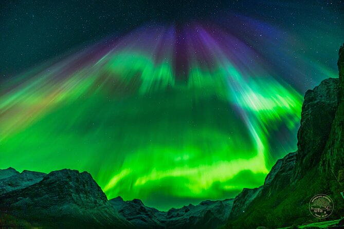 Private Northern Lights Chase with Photography from Tromsø - Hotel pickup and an Arctic-ready ride that changes everything