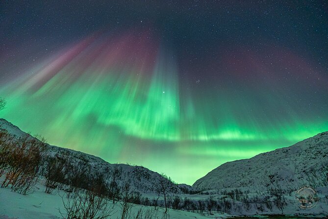 Private Northern Lights Chase with Photography from Tromsø - How the guide improves your odds and your photos