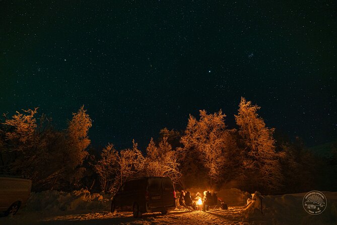Private Northern Lights Chase with Photography from Tromsø - What it’s like on the ground: communication, care, and confidence