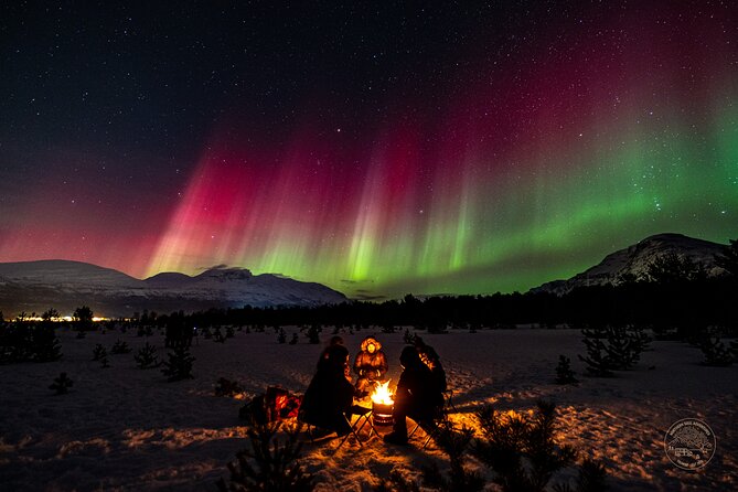 Private Northern Lights Chase with Photography from Tromsø - Who should book this tour (and who should think twice)