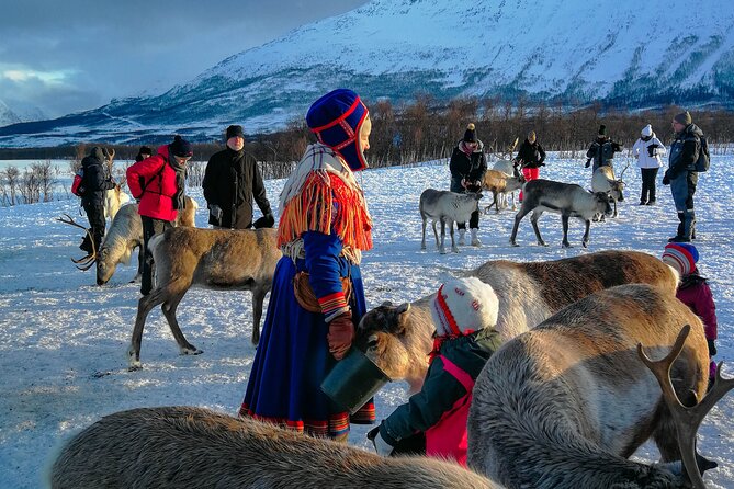 Reindeer Feeding and Sami Culture Afternoon Departure - Toilets and camp comfort: the honest reality