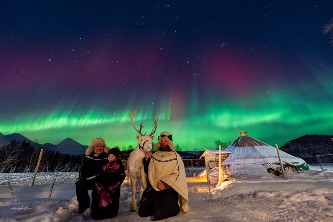 Reindeer Feeding and Sledding, Sami Storytelling Night Tour - Inside the Lavvu: Hot Meal Energy for Cold-Everything Weather