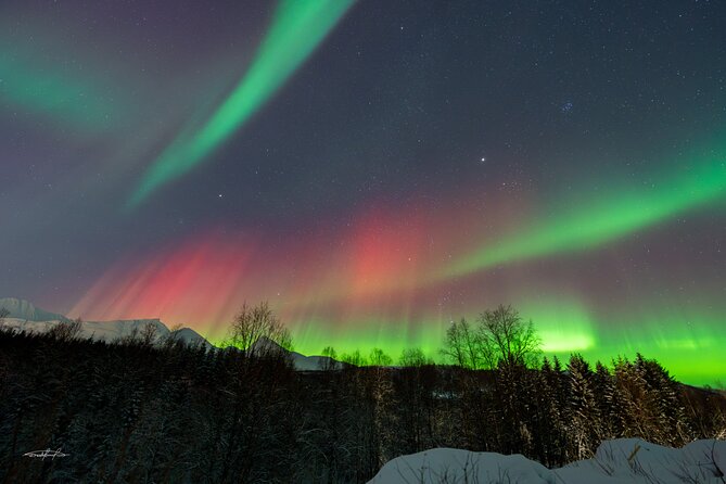 Reindeer Feeding and Sledding, Sami Storytelling Night Tour - Sami Storytelling by the Fire and Lasso Throwing