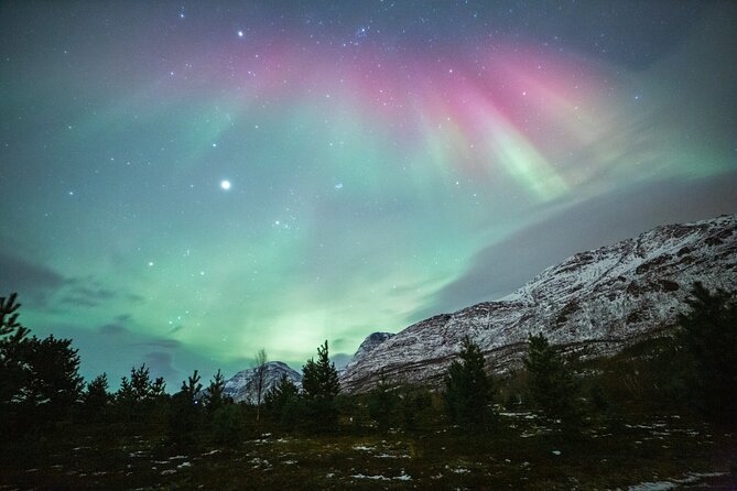 Reindeer Feeding and Sledding, Sami Storytelling Night Tour - Lavangsdalen and Balsfjord Drives: Scenic, Slow, and Actually Useful