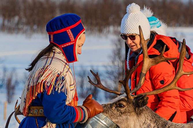 Reindeer feeding & Saami Culture - Radisson Blu pickup near Fredrik Langes gate: the morning setup that saves energy