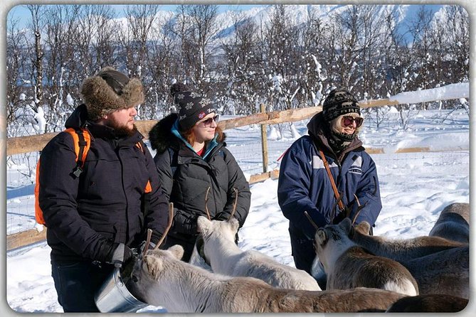 Reindeer feeding & Saami Culture - Value check: why $183 can make sense even when it feels expensive