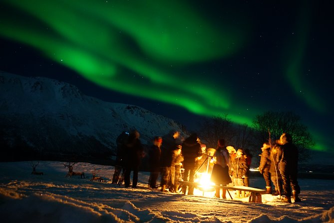 Reindeer feeding & Saami Culture with chance for Northern Lights - Getting picked up in Tromsø: starting at 6:00 pm