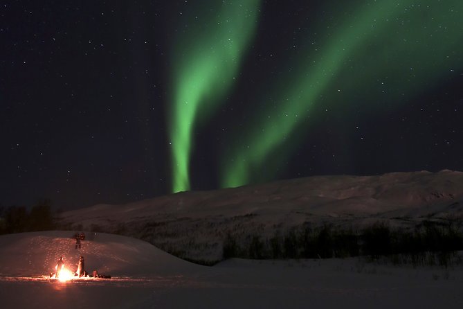 Reindeer feeding & Saami Culture with chance for Northern Lights - Northern Lights odds: plan for success, expect a sky surprise