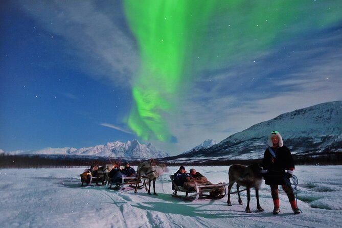 Reindeer Sledding and Feeding with Chance of Northern Lights Tromso - Why this Tromsø experience mixes culture with real Arctic logistics