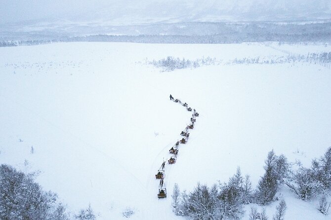 Reindeer Sledding and Feeding with Sami Culture in Tromso. - Key points before you go