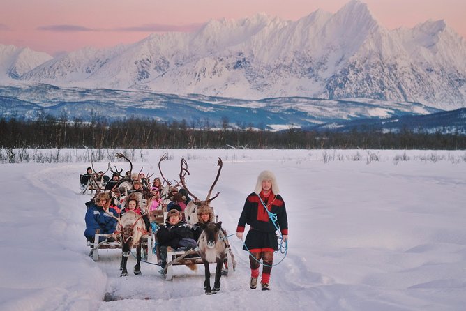 Reindeer Sledding and Feeding with Sami Culture in Tromso. - Tromsø Lapland’s Sami Reindeer Day: what you’re really paying for