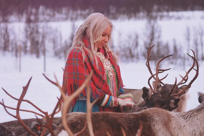 Reindeer Sledding and Feeding with Sami Culture in Tromso. - Lunch and warm drinks: why it matters more in the Arctic