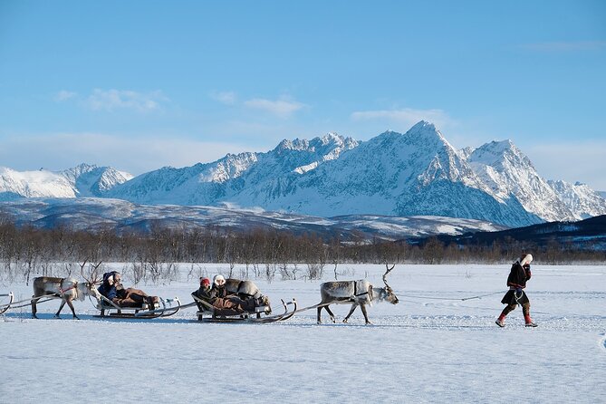 Reindeer Sledding and Feeding with Sami Culture in Tromso. - Sami culture in the camp: what you’ll learn beyond the photos