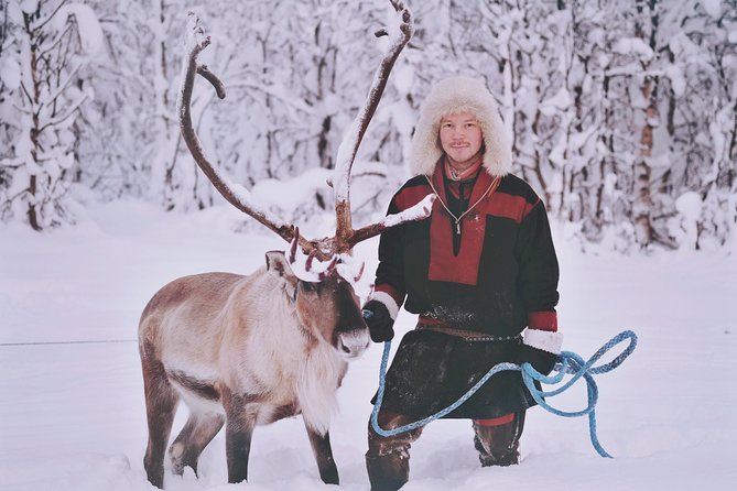 Reindeer Sledding and Feeding with Sami Culture in Tromso. - Price and value in plain terms (and who it’s for)