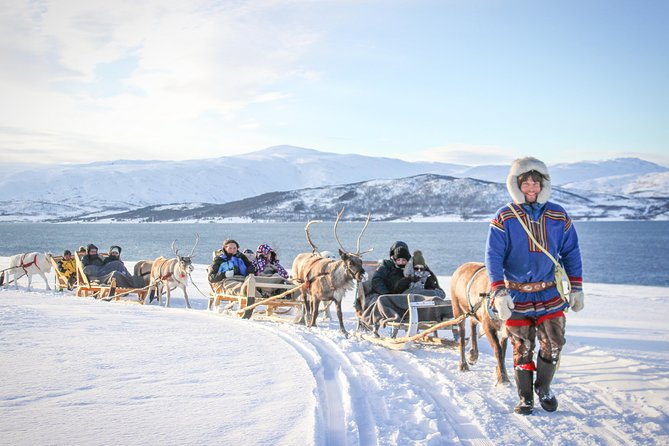 Reindeer Sledding Experience and Sami Culture Tour from Tromso - Key takeaways before you go