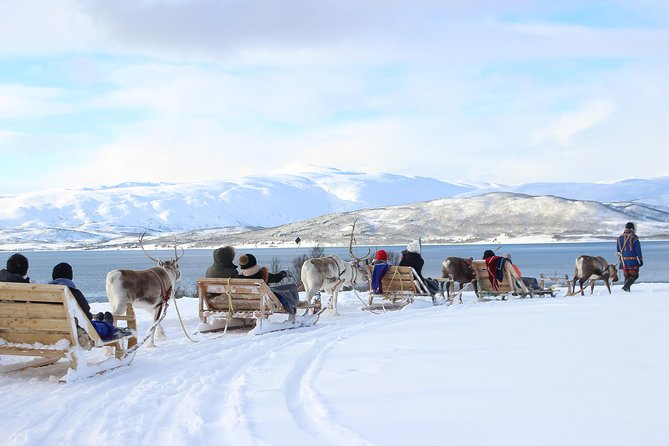 Reindeer Sledding Experience and Sami Culture Tour from Tromso - Lunch and Sami soup over the fire: simple food, local context