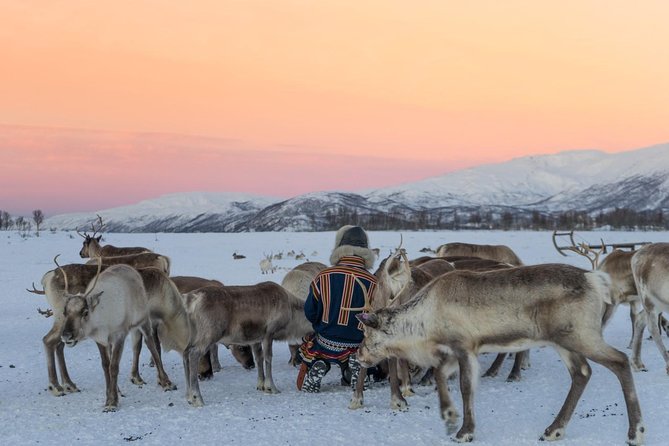 Sami Culture and Short Reindeer Sledding from Tromso - Sami Stories and Joik by the Fire: Culture That’s Meant to Be Heard
