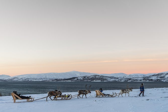 Sami Culture and Short Reindeer Sledding from Tromso - What to Wear in Tromsø Winter: Your Real Ticket to Enjoying It