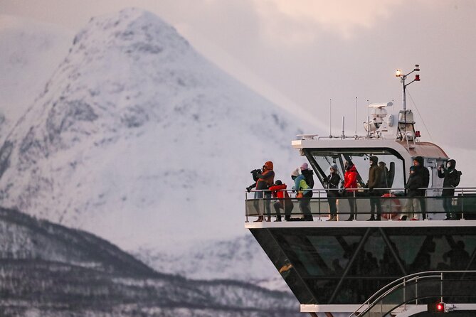 Silent Whale Watching by Hybrid-Electric Boat from Tromsø - Kvaenangen Municipality: The Best Shot, and Why the Whale Time Can Feel Short
