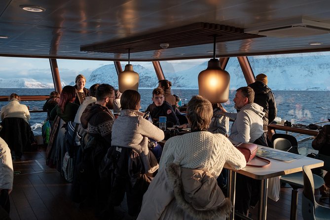 Silent Whale Watching by Hybrid-Electric Boat from Tromsø - Northern Lights and the Arctic Cathedral: The Return Trip Bonuses