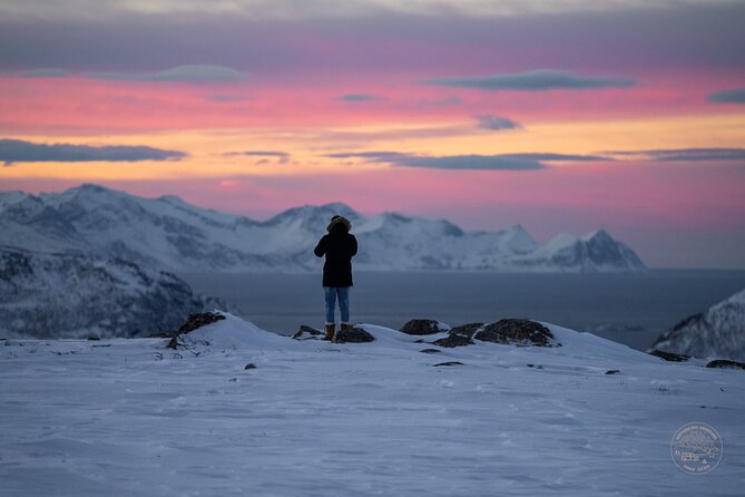 Small Group Arctic Fjords Road trip with Scenic Picnic - Key things I’d plan for on this Tromsø-to-Kvaløya drive