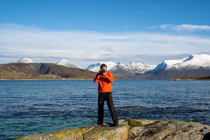 Small Group Arctic Fjords Road trip with Scenic Picnic - Price and logistics: what $161.84 buys you (and why it can feel fair)
