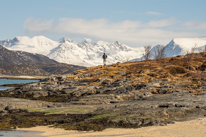Small Group Arctic Fjords Road trip with Scenic Picnic - How the guide shapes the day (and what to expect from their stops)