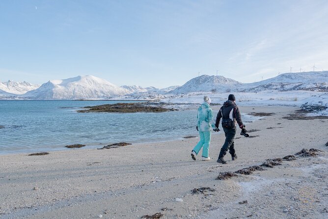 Small Group Arctic Fjords Road trip with Scenic Picnic - Photos included: free professional images in web resolution