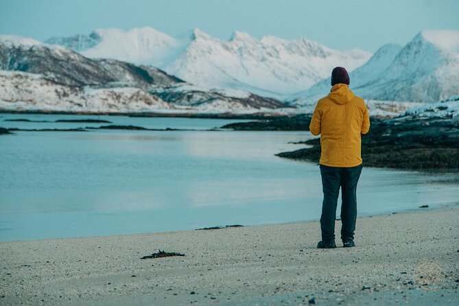 Small Group Arctic Fjords Road trip with Scenic Picnic - Stop style on the way to Kvaløya: searching for roaming wildlife