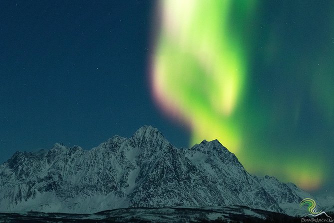 Small-Group Northern Lights Tour from Tromso with Photos - The 6:00 pm to after-midnight timing: what your night actually feels like