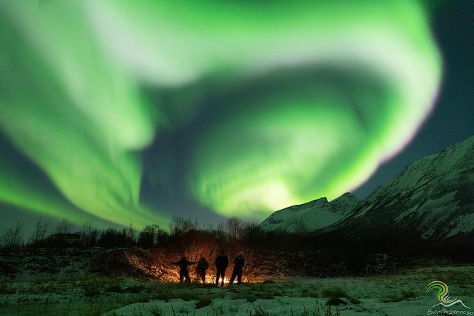 Small-Group Northern Lights Tour from Tromso with Photos - Tromsø to the aurora “maybe zone”: chasing beyond the city lights