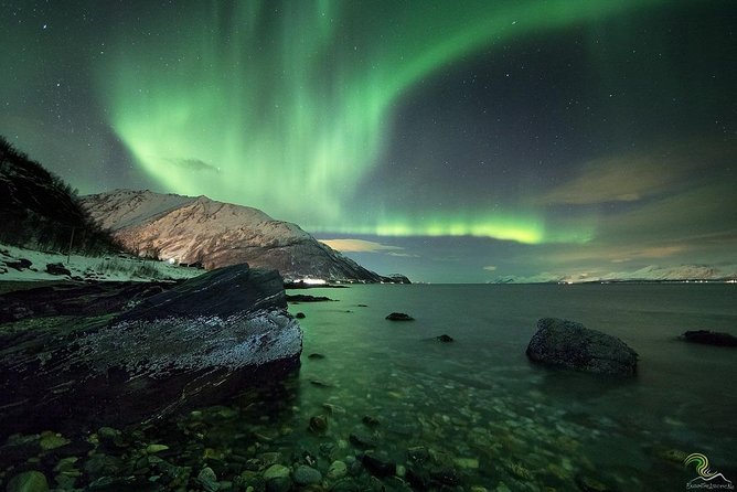 Small-Group Northern Lights Tour from Tromso with Photos - Price and value: is $153.25 worth it?