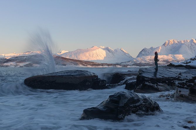 Small-Group Norwegian Fjords Tour from Tromso with Photos - Stop 1: Tromsø Views, Possible Reindeer, and the Photo Pull-Offs