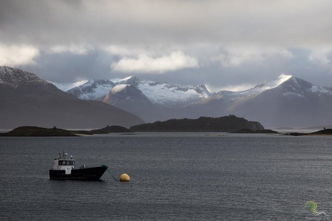Small-Group Norwegian Fjords Tour from Tromso with Photos - The 5-Hour Van Ride: What the Day Feels Like