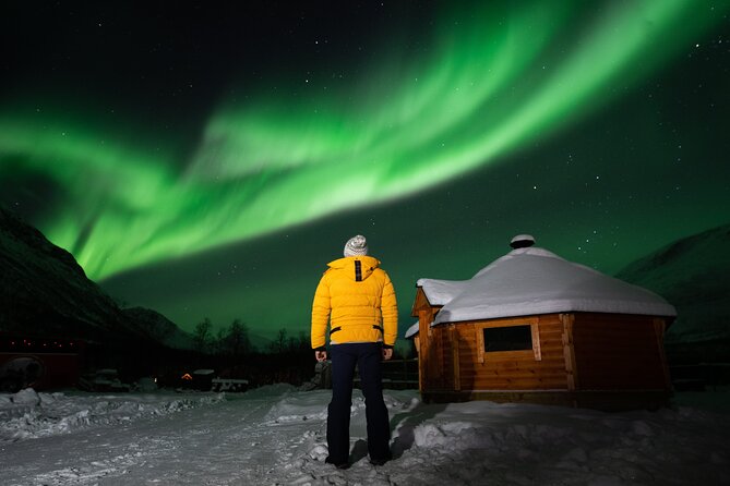 Small Group Tromsø: Northern Lights Chase with Photos and Dinner - What guides teach about aurora probability and staying safe