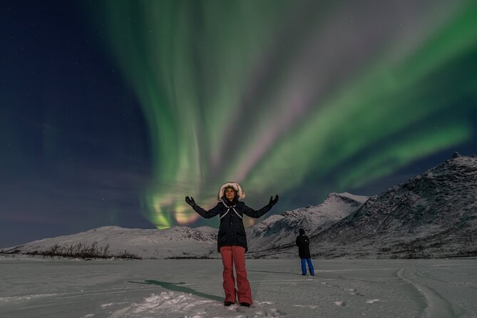 Small Group Tromsø: Northern Lights Chase with Photos and Dinner - Price and value: what $237.32 buys you in Tromsø