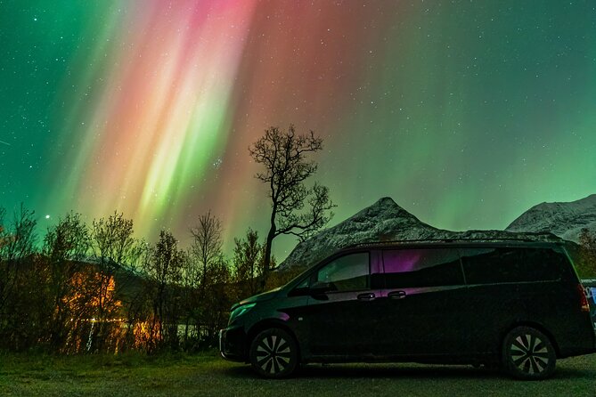 Small Group Van Journey in Search of the Northern Lights - Key things I’d watch for on this Tromsø Northern Lights van tour