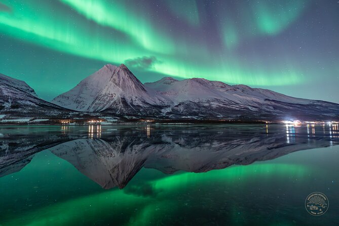 Small Group Van Journey in Search of the Northern Lights - How this Northern Lights hunt actually works (and why it feels different)