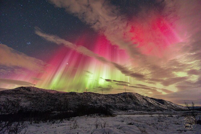 Small Group Van Journey in Search of the Northern Lights - Price and value: what you’re paying for at $253.73 per person