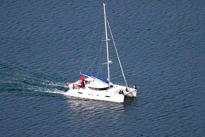Snorkeling with Orcas In Norway, 4 days All-Inclusive expedition - Tromsø orca snorkeling: why this part of Norway can be so special