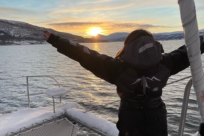 Snorkeling with Orcas In Norway, 4 days All-Inclusive expedition - How the crew finds orcas and humpbacks: the herring connection