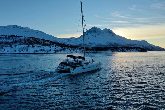 Snorkeling with Orcas In Norway, 4 days All-Inclusive expedition - Weather, routing, and why your day might change