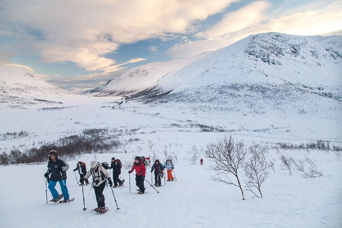 Snowshoe Hill Hike in Tromsø - Key Things That Make This Hike Worth It