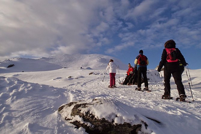 Snowshoe Hill Hike in Tromsø - The Big Idea: Why This Snowshoe Hike Feels More Local