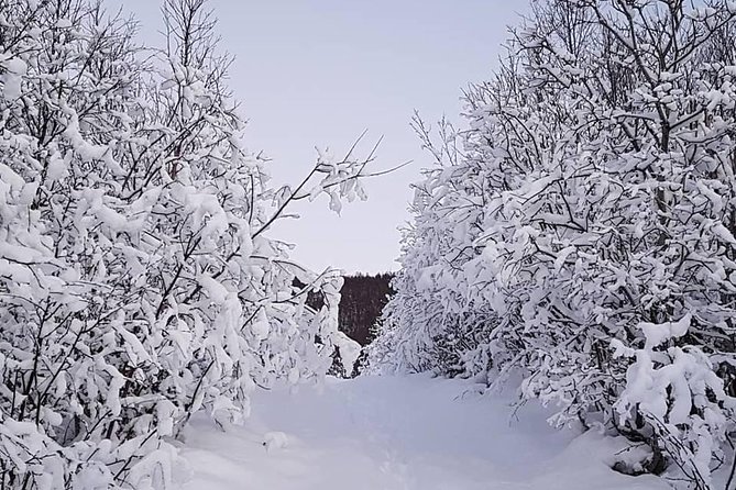 Snowshoeing With A View - Key Highlights You’ll Actually Care About