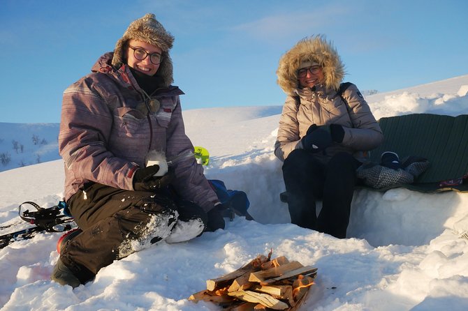 Snowshoeing With A View - Value in Plain Terms: Is $166.14 Worth It?