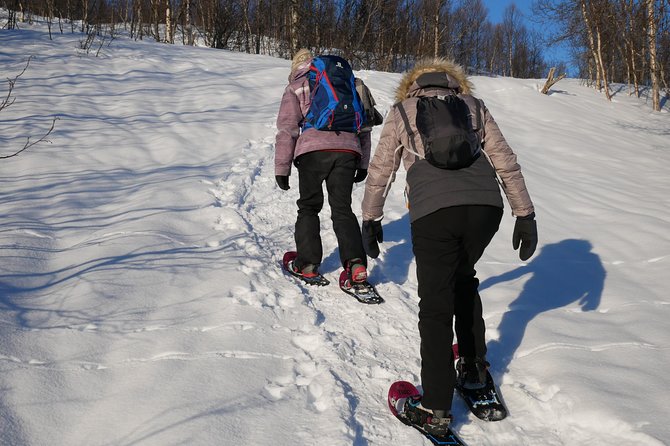 Snowshoeing With A View - Weather Reality: A Tromsø Tour Plan That Can Change