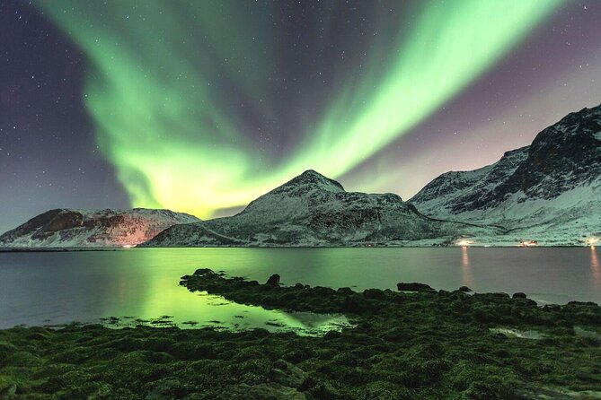 Summer Fjord Road Trip with Citizen Science with Wandering Owl - Key highlights at a glance