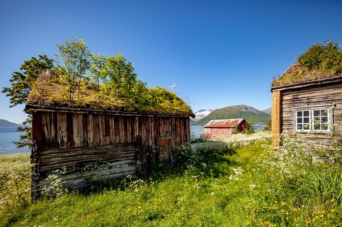 Summer Fjord Road Trip with Citizen Science with Wandering Owl - Getting started at Scandic Ishavshotel and what that means for your day